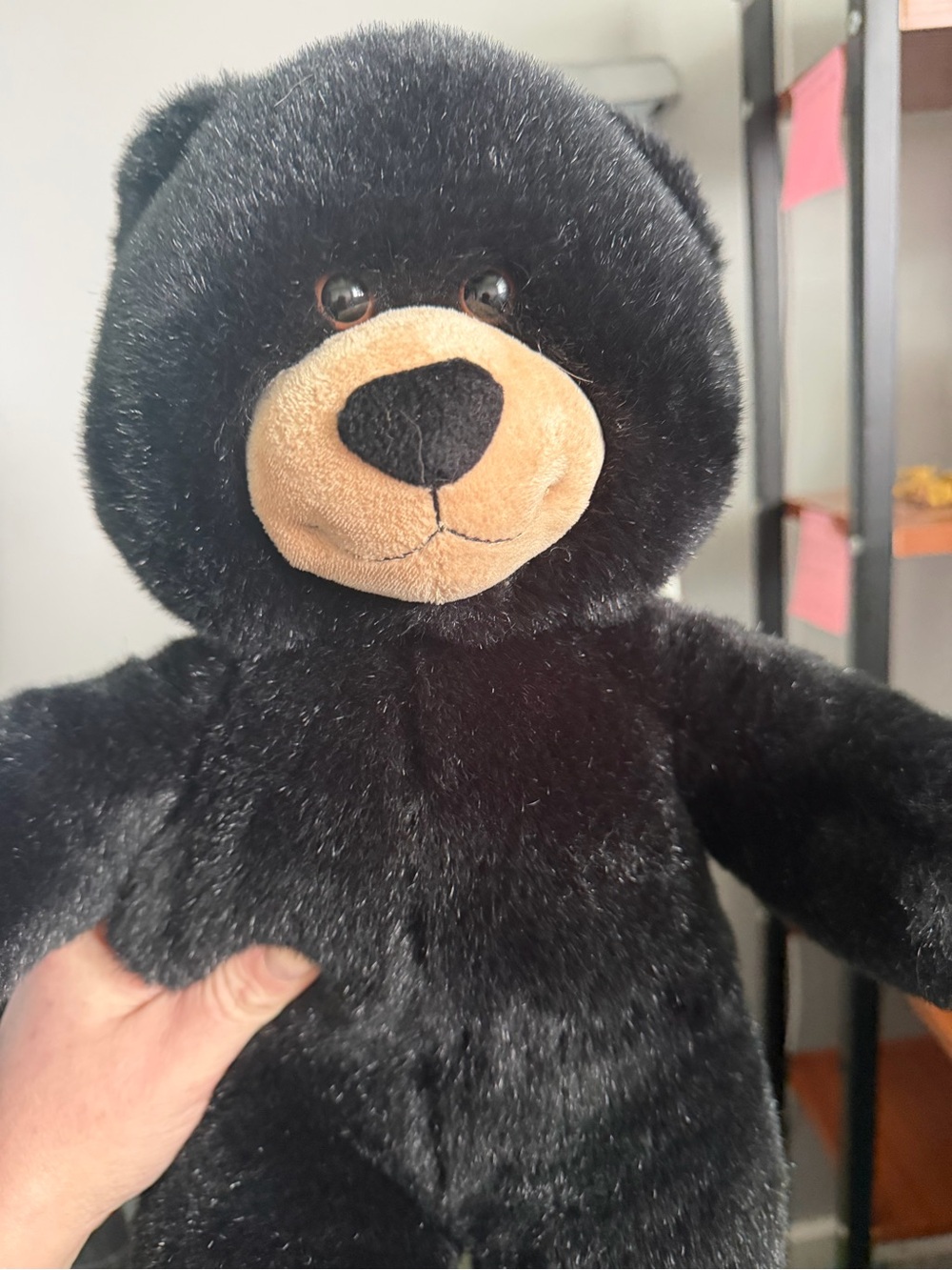 Build-A-Bear Black Plush Bear with Tan Muzzle